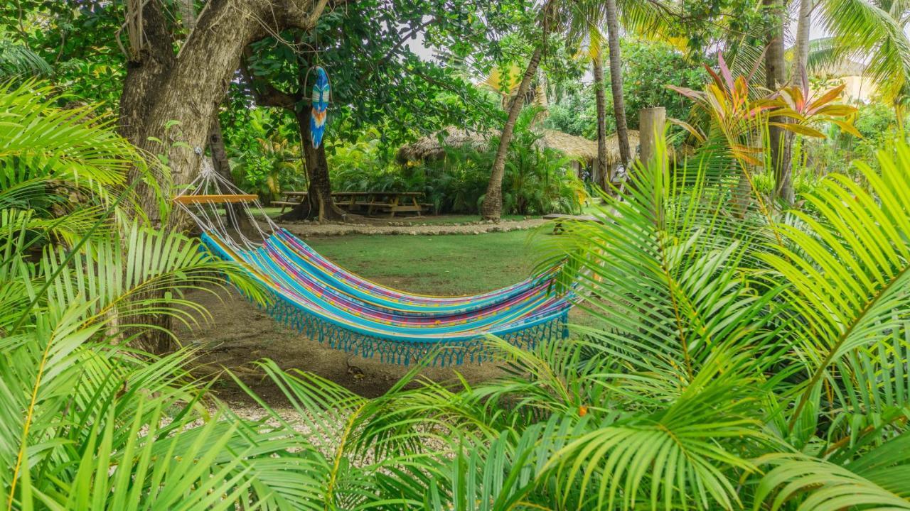 Los Corales Beach Village Punta Cana Kültér fotó